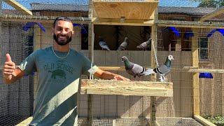 NEW HOBBY ON MY RANCH! WE ARE RACING PIGEONS *EPIC*