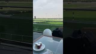 At Meydan Hotel #shorts #horseracing #visitdubai