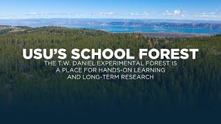 USU's T.W. Daniel Experimental Forest is a Place for Hands-On Learning and Long-Term Research