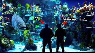 EPIC Road Trip!! MONSTER FISH at Bristol Aquarium (Day 1: Netherlands Tour)