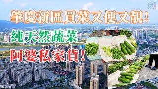 香港人在大灣區/肇慶新區買菜又便又靚/阿婆私家貨/純天然蔬菜