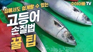 [집에서도 쉽게 할 수 있는 고등어 손질방법] 노르웨이 고등어와 비교할 클라스가 아닙니다. How to trim Mackerel / Handling Mackerel [수아아빠TV]