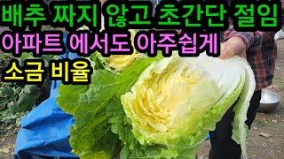 김장배추 절임 짜지않고 소금 물 비율 누구나 쉽게 하는법