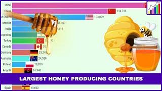 Top 15 Countries by Honey Production (1961 - 2021)