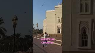 Iconic View at Sharjah #shorts #viral #video #sharjah #dubai