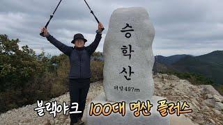 블랙야크 100대 명산 플러스 승학산 | 승학산 억새군락지