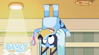 Bluey Saison 2 Épisodes complets | Bluey Français Chaîne Officielle