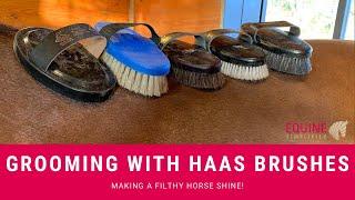 Haas Brush Grooming Video-Making a Filthy Horse Shine!.   Equine Simplified Barn Management Software