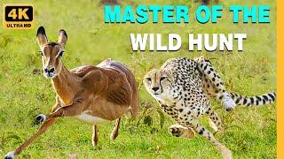 Survival of the Fittest | Masters of Quick Hunting in the Wild (Full Episode)