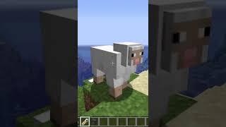 МАЛЕНЬКИЕ но ИНТЕРЕСНЫЕ ФАКТЫ в Майнкрафт #minecraft  #майнкрафт