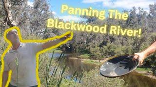 Panning for GOLD on the BLACKWOOD RIVER Western Australia - We caught some marron too!