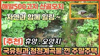 [추천]500고지 국유림 산골짜기 도로막장 ㅣ국유림 소나무 숲속과 계곡물 접한 산골주택 ㅣ대지32평 /주택11평   [강원원주주택] 부동산 전원일기tv