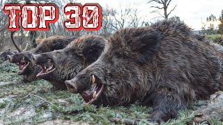 30 Shots in 3 Minutes | Wild Boar Hunting Ep 7