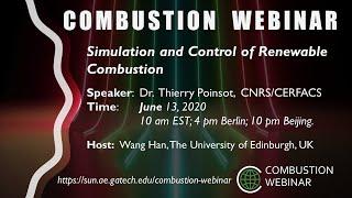 Simulation and Control of Renewable Combustion, Speaker: Thierry Poinsot