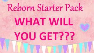 What to expect when you purchase A Reborn Baby Starter Kit