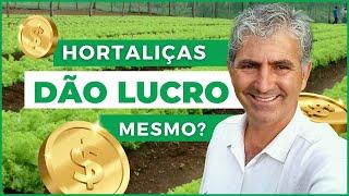 SAIBA COMO TER LUCRO COM HORTALIÇAS - evite a FALÊNCIA da sua Horta!