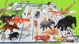 Which Animals vs Dinosaurs Speed Race Run Maze Course from Outside to Inside Animal Revolt Battle