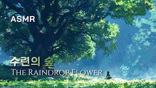 토독토독 빗소리와 수련의 숲  메이플스토리, 공부, 휴식, 커버곡, Maple Story, ASMR, Ambience, Study, Relax, Sleep