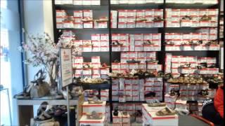 Rieker Shoe new Shop Ravenburg  May 2015