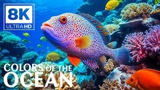 Under Red Sea 8K  Incredible Underwater World - Tropical Fish, Coral Reefs, Jellyfish Aquarium