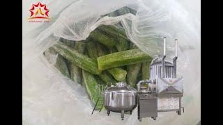 Fruit Vegetable Chips Vacuum Fry Food Processing Machinery