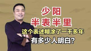 邹勇：少阳，半表半里？这个表述糊涂了一千多年，有多少人明白？