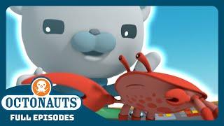 @Octonauts - ️ The Fiddler Crabs  | Season 2 | Full Episodes | Cartoons for Kids