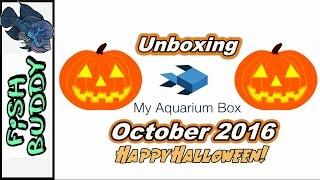 #MyAquariumBox - October 2016 - Freshwater Edition