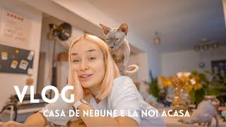 VLOG | Casa de nebunici e la noi acasa |