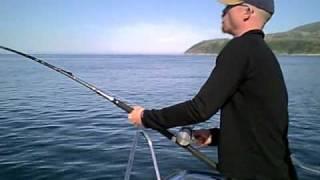 Catching Atlantic Halibut in Norway