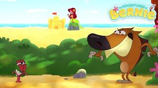 The New Adventures of Bernie  THE BEGINNING OF A NEW ADVENTURE  Zig & Sharko - Cartoons for Kids