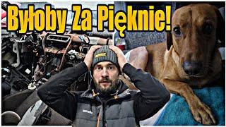 Byłoby Za pięknie! Od samego rana same niespodzianki! Życie za Granicą.