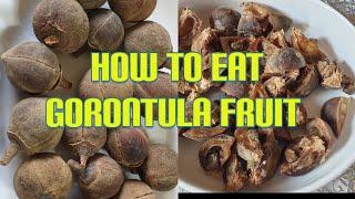 How to eat gorontula fruits