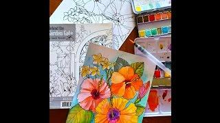 Watercolor Tutorial with Sandi Pirrelli on Live with Prima