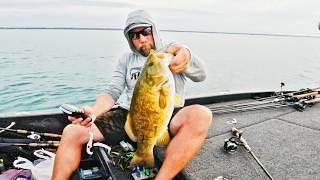 Bucket List Trip to The World's MOST POPULATED BASS Factory! - Lake St. Clair 2024