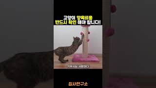 고양이의 양육비용은 얼마나 들까요?