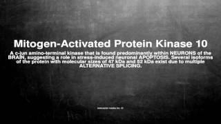 Medical vocabulary: What does Mitogen-Activated Protein Kinase 10 mean