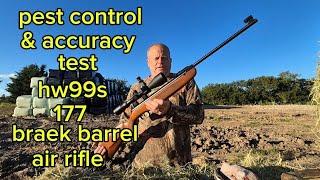 pest control & accuracy testing  hw99s 177 braek barrel air rifle