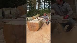 Alaskan chainsaw Mill - Ms880 #woodworking #outdoors #chainsaw #shorts