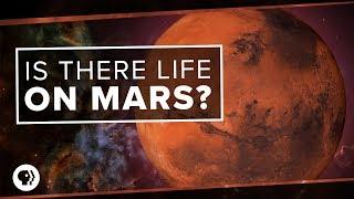 Is There Life on Mars?