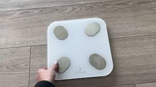 FitTrack Dara Smart BMI Digital Scale   Measure Weight and Body Fat Review