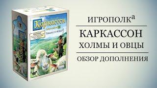 Каркассон. Холмы и овцы.