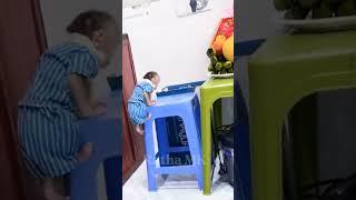 Hello everyone! Baby monkey is very Smart and Cute #familyBibi #Lala #Bibi #typ #Short #reels