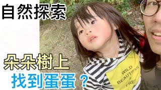 【朵朵豬劇場 #322】自然探索 | 朵朵樹上找到蛋蛋？ 2Y6M