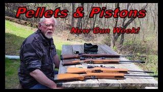 New Gun Week