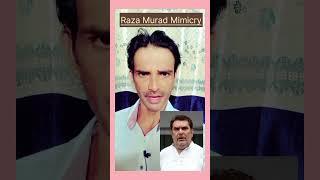 Raza Murad voice Mimicry By Nidhish Gautam #razamurad