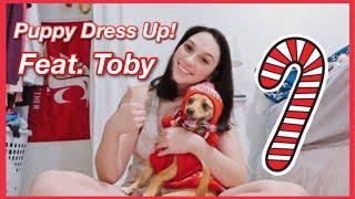 Dressing My Dog in Christmas Outfits!! || VLOGMAS 2020 Day 7