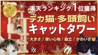 楽天ランキング1位！のビッグ版【 #キャットタワー 】今年もモフーサンタが良い子（猫）にプレゼント！デカ猫、多頭飼いにおススメのキャットタワーを贈ってみた（クリスマス）