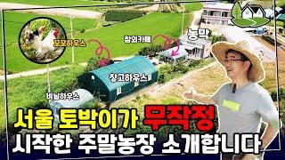 주말농장인데 닭을 키운다고? 200평 토지에 3500만원 시설 만들고 행복하게 주말농장 4년차를 보내고 있습니다. [마리오농장]