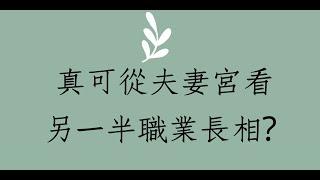 《紫微斗數論命實例》真得可以從夫妻宮看另一半職業與長相?  #紫微斗數命理 #另一半 #夫妻宮